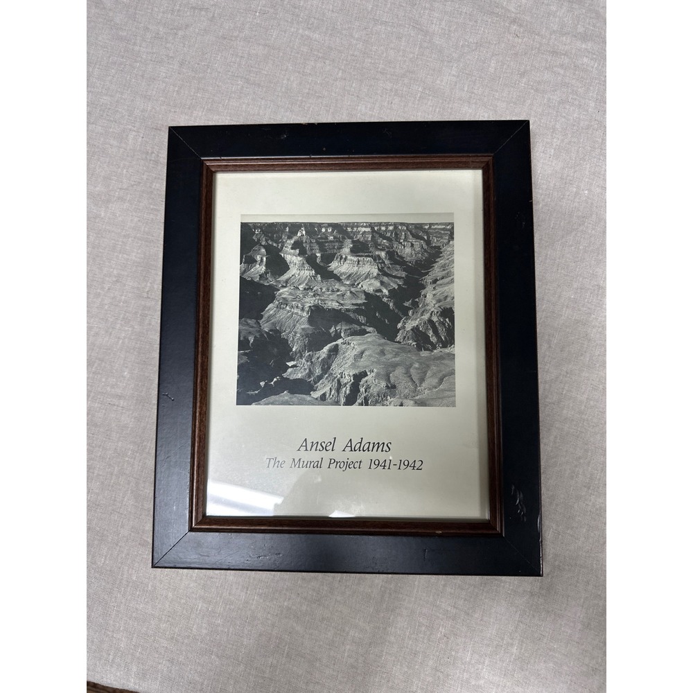 Ansel Adams The Mural Project Grand Canyon Framed Print Black White 10x12 Art